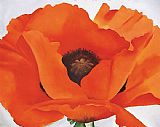 Famous Red Paintings - Red Poppy